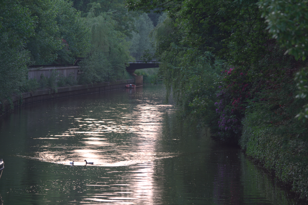PNG rendering of the Canon canal photograph, with trees, bridge and water reflections.