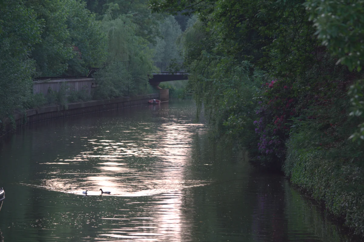 WebP rendering of the same canal photograph at the same dimensions.