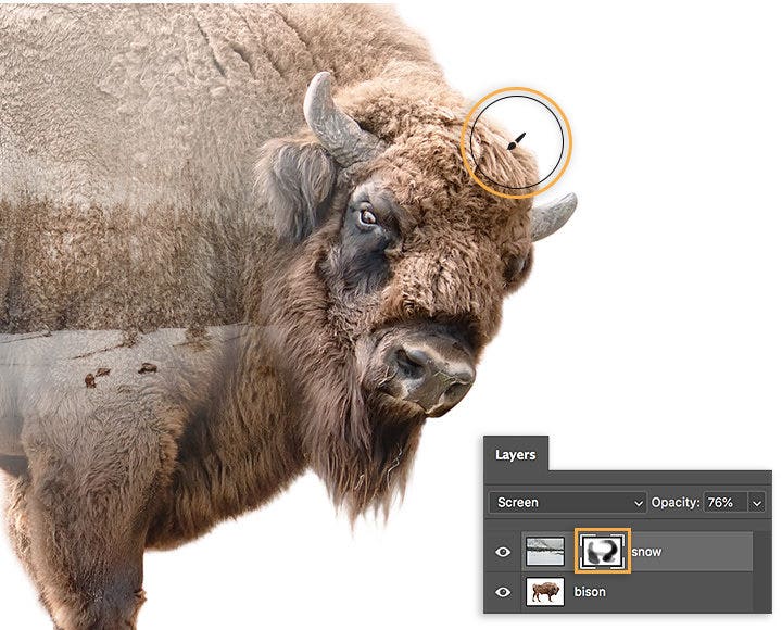 Adobe example showing the bison face restored with a mask on the snow layer, with Screen and 76 percent opacity visible.