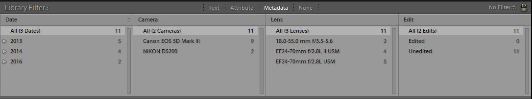 Adobe Lightroom Classic Library Filter with Metadata selected and Date, Camera, Lens and Edit columns