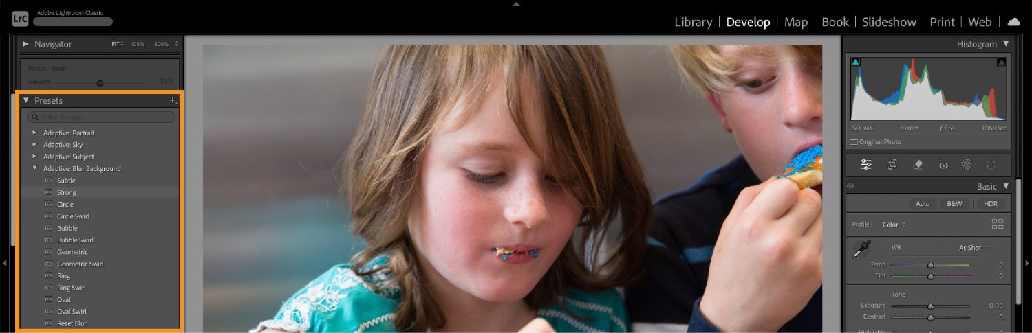 Adobe Lightroom Classic Develop workspace with the Presets panel highlighted
