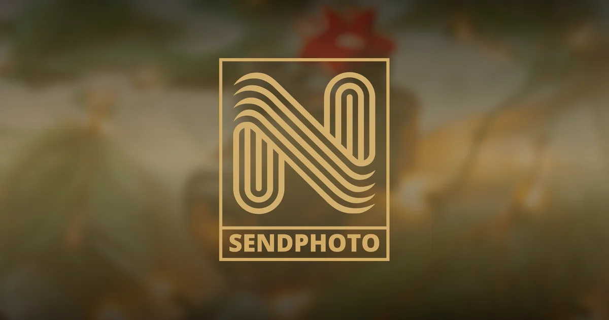 Creating an Unforgettable Christmas Photography Client Experience