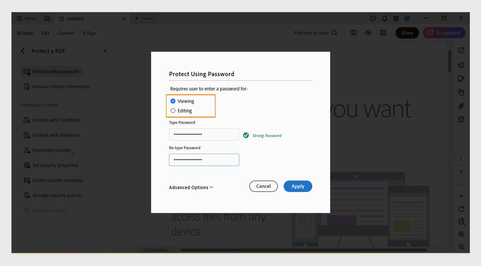 Adobe's published Acrobat Protect Using Password dialog with Viewing selected
