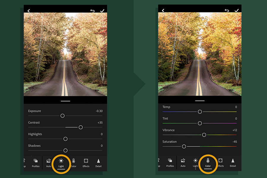 Adobe Lightroom mobile lesson comparing Light and Color adjustment panels on the same autumn road photograph