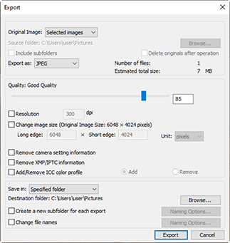 Nikon NX Studio Export dialog showing JPEG, quality 85, size and metadata controls, and a specified destination folder.