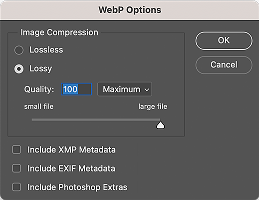 Adobe Photoshop WebP Options dialog showing lossy and lossless choices and metadata checkboxes