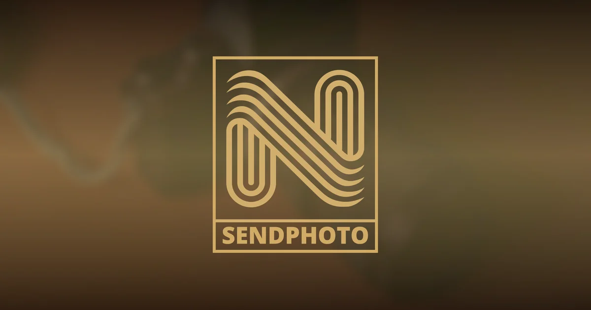 Professional photographer reviewing client photo delivery platforms on laptop