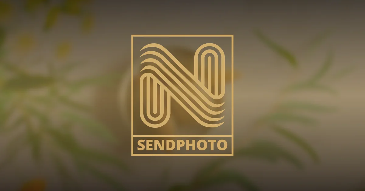 Flat Lay Photography Tutorial- Create Perfect Overhead Compositions featuring flat lay, overhead photography