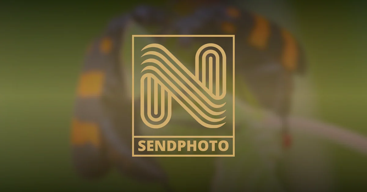 Macro Photography Tutorial- Explore the Miniature World featuring macro photography, close-up photography