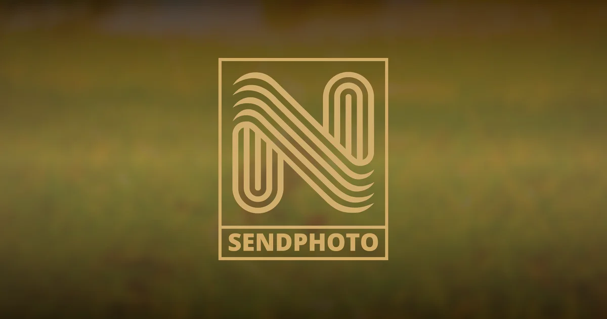 Wildlife Photography Guide- Equipment, Ethics, and Techniques featuring wildlife photography, nature photography