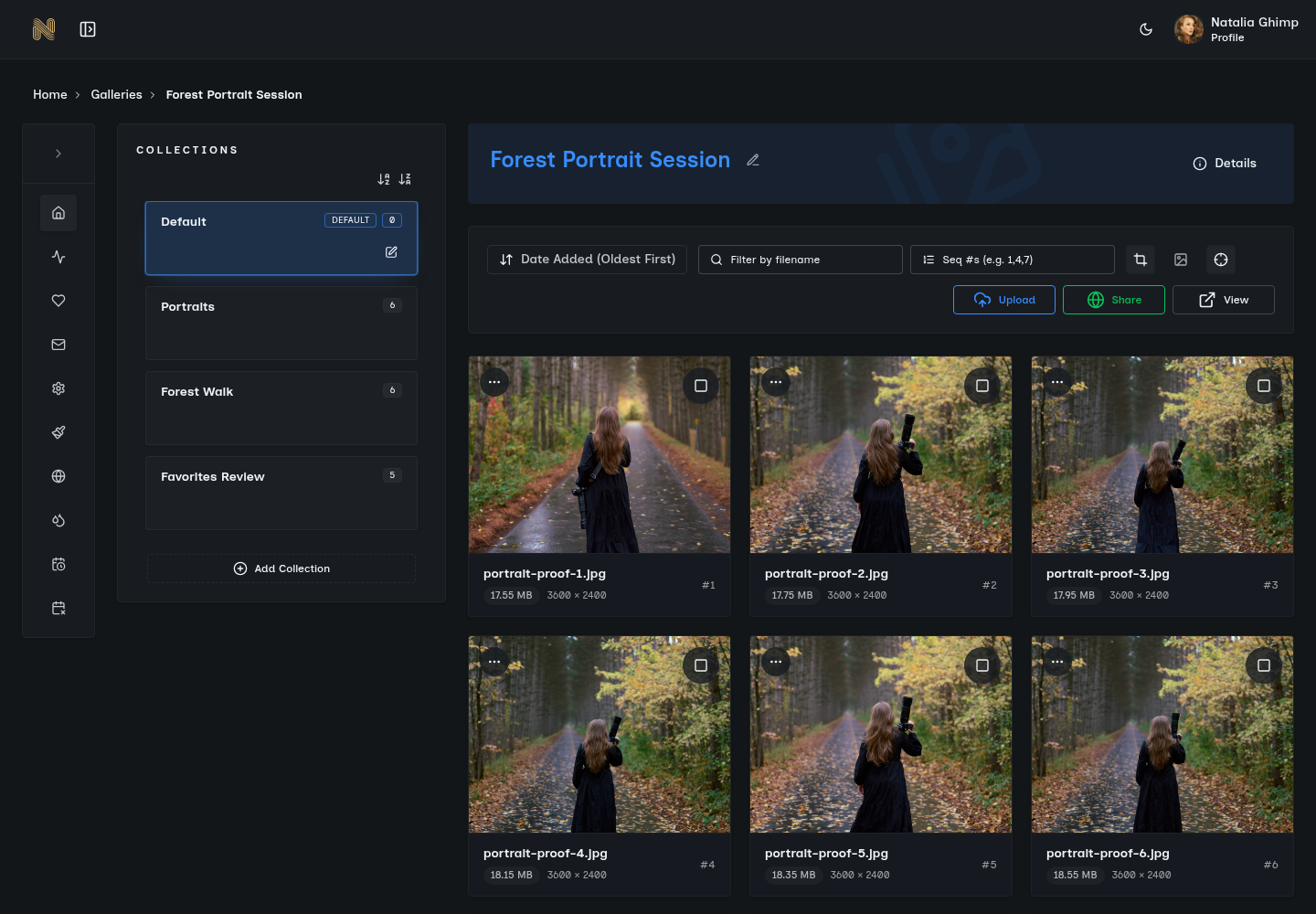 SendPhoto gallery collections and organization