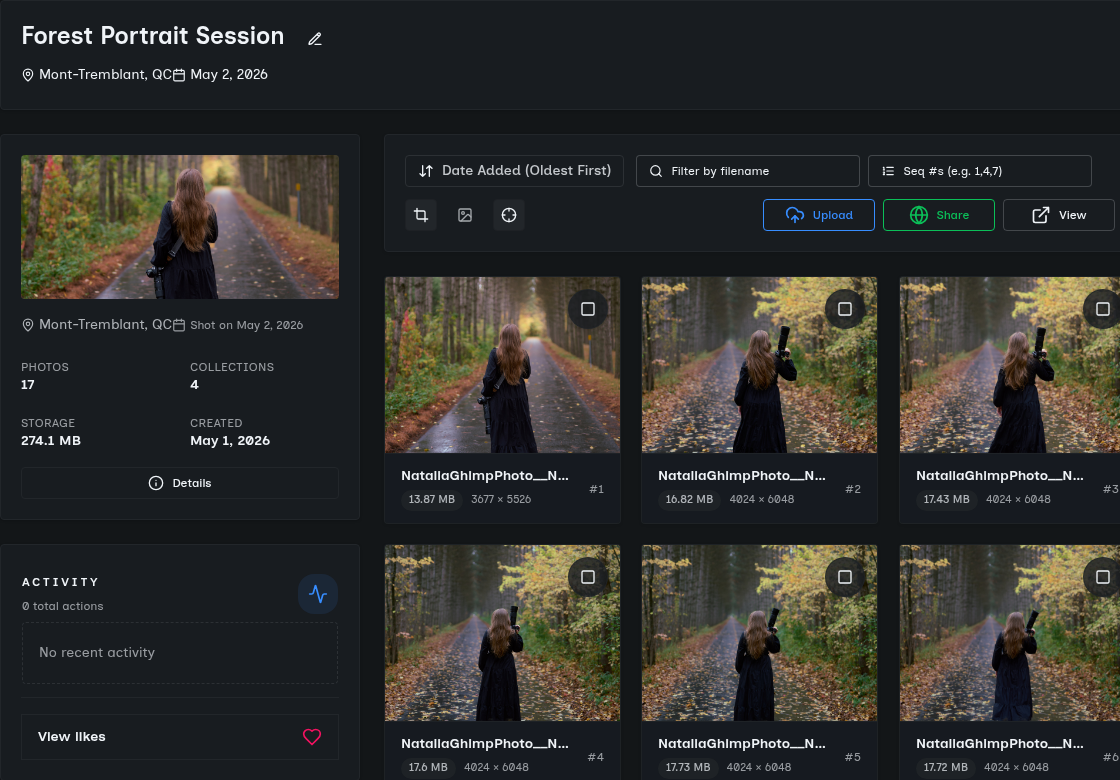 SendPhoto mixed photo and video upload workflow