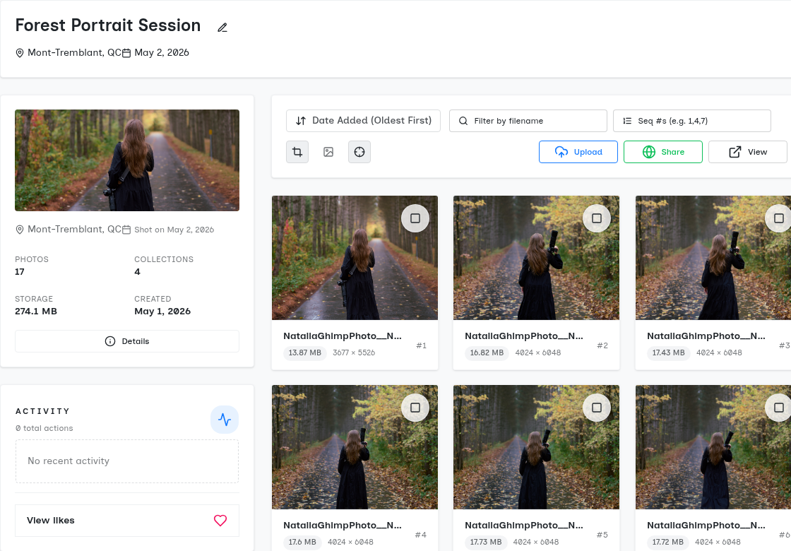 SendPhoto mixed photo and video upload workflow
