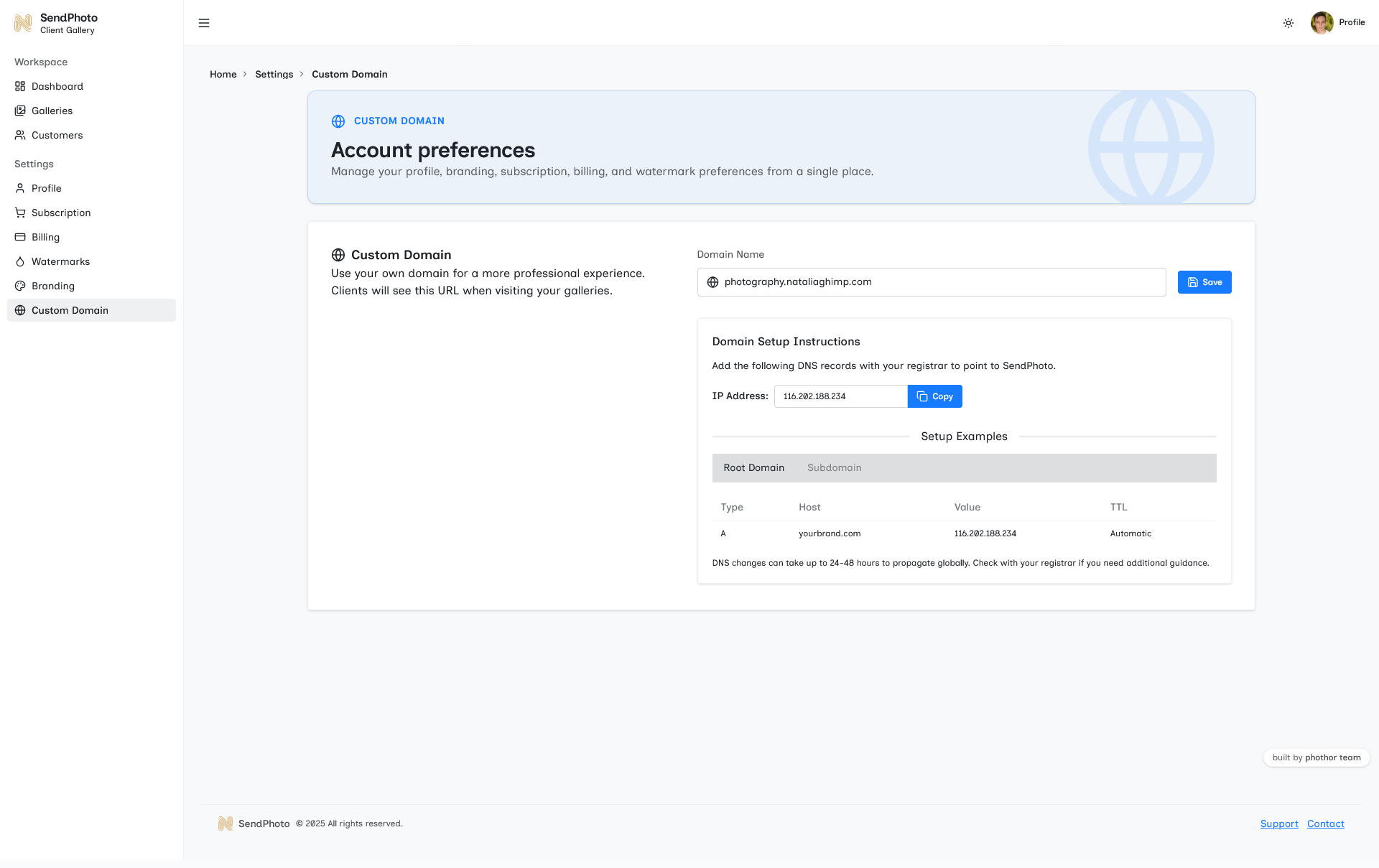 Custom domain setup interface